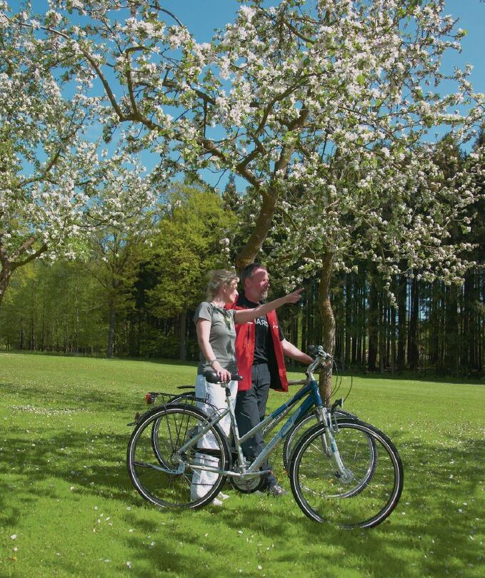Apfel Radl Weg
