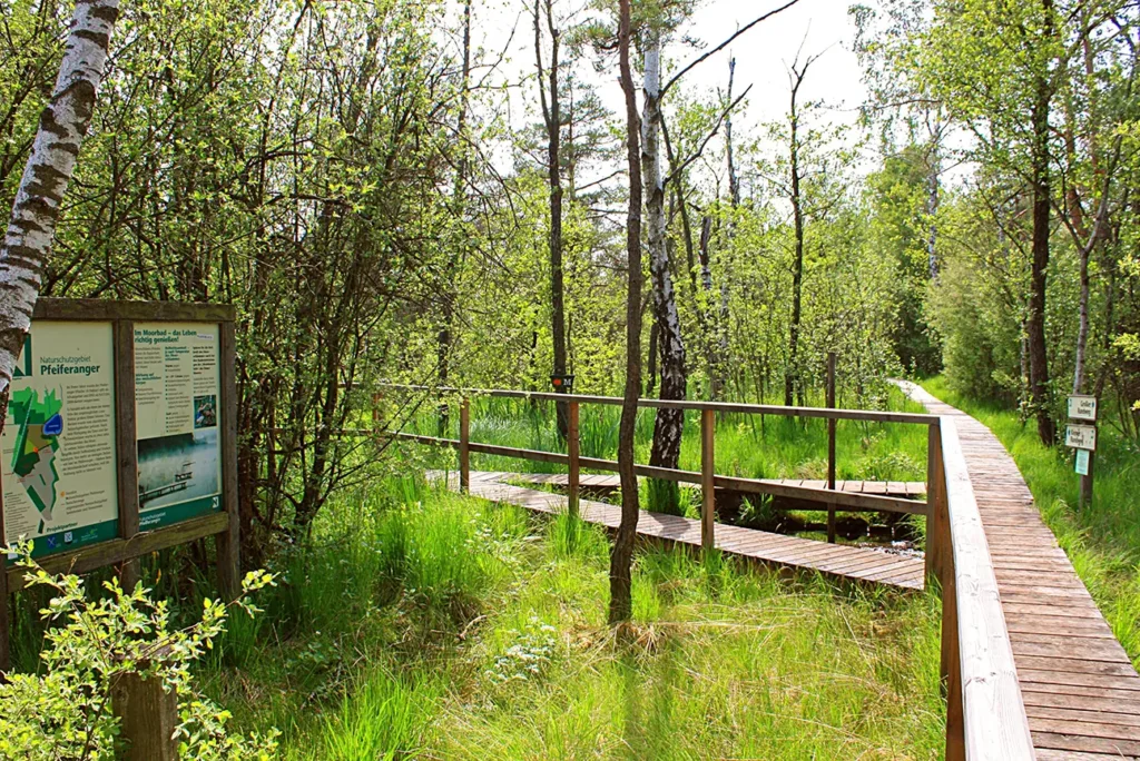 Ibmer Moor
